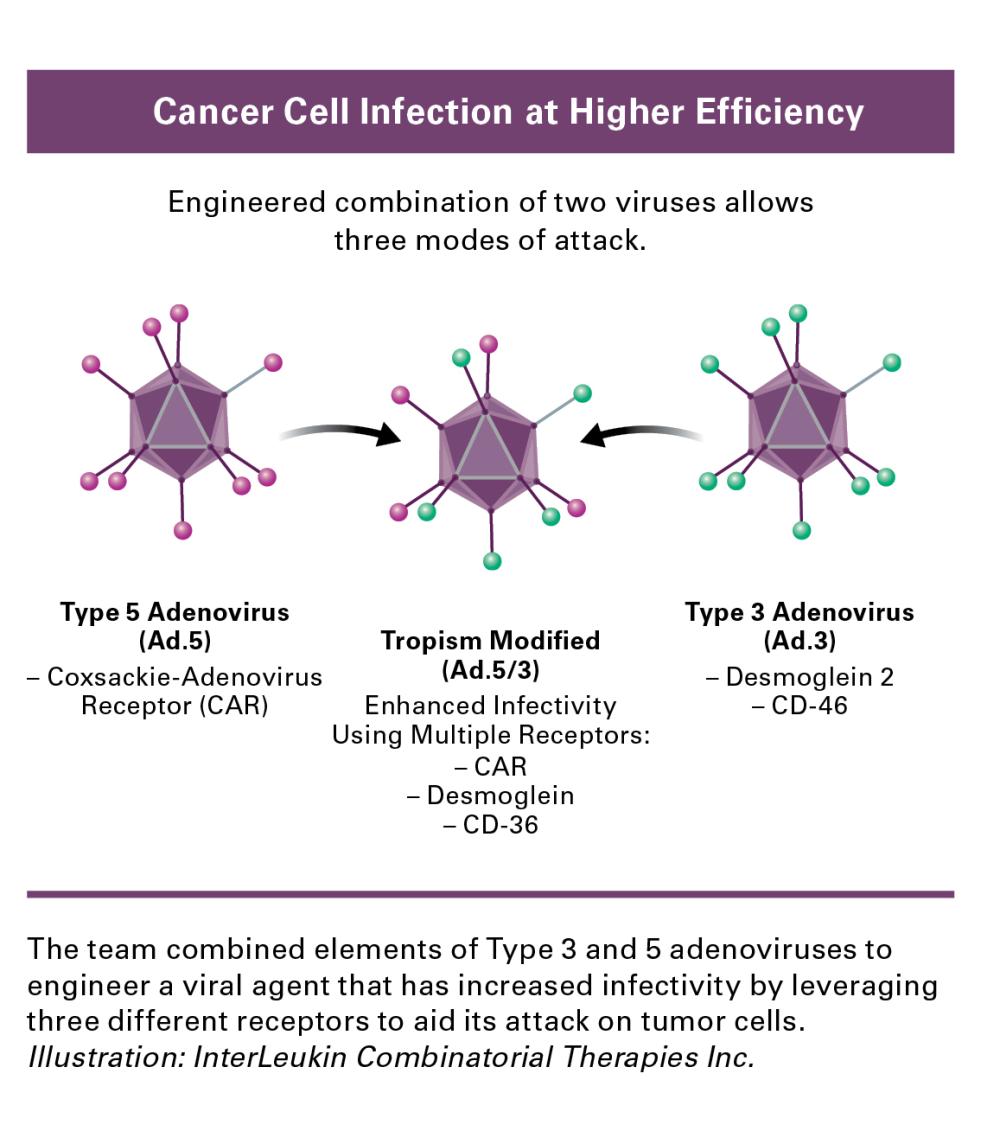 cancer cell infection at higher efficiency