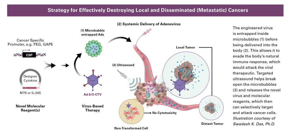 strategy for effectively destroying local and disseminated (metastatic) cancers