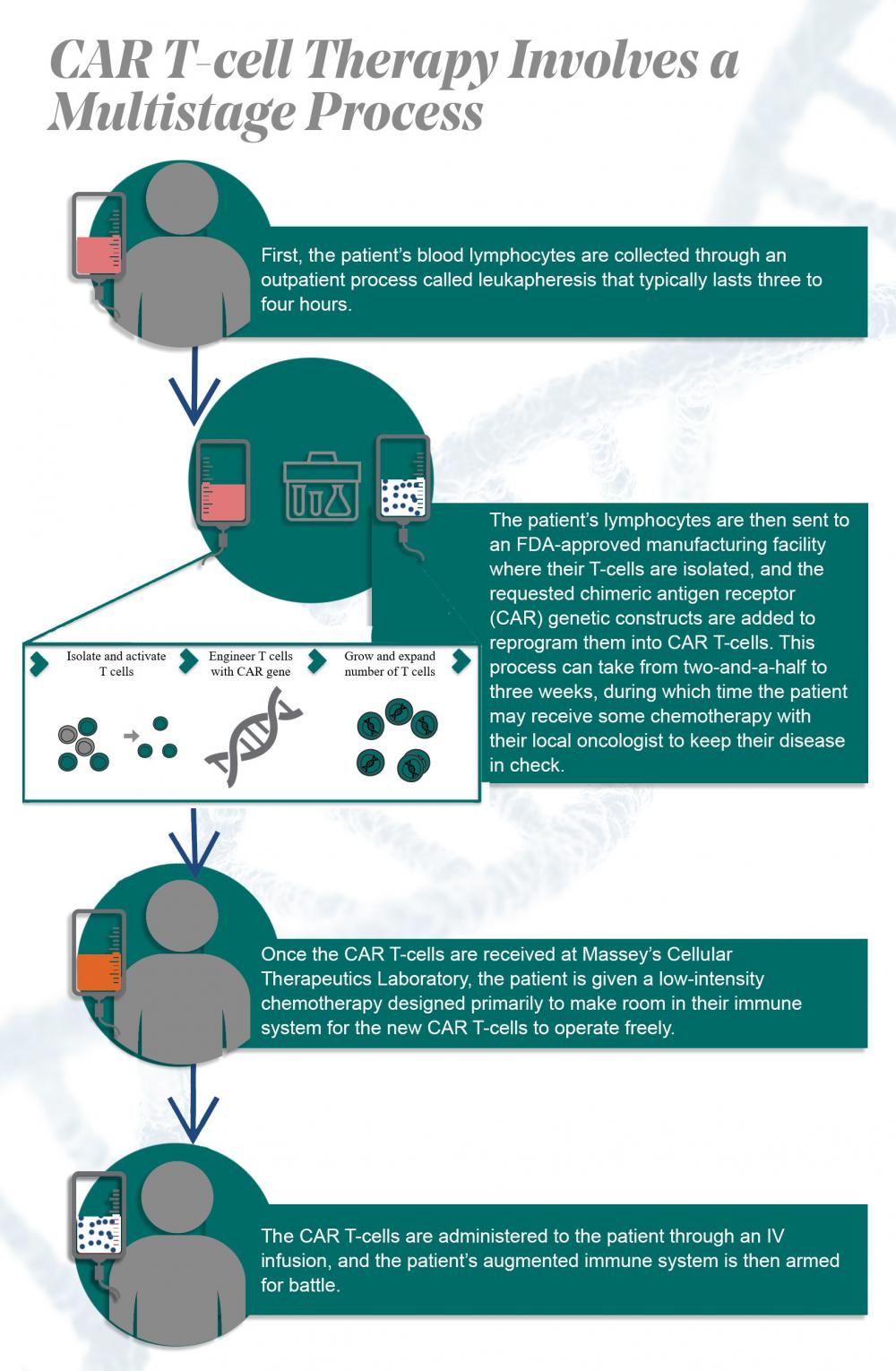 car t-cell process