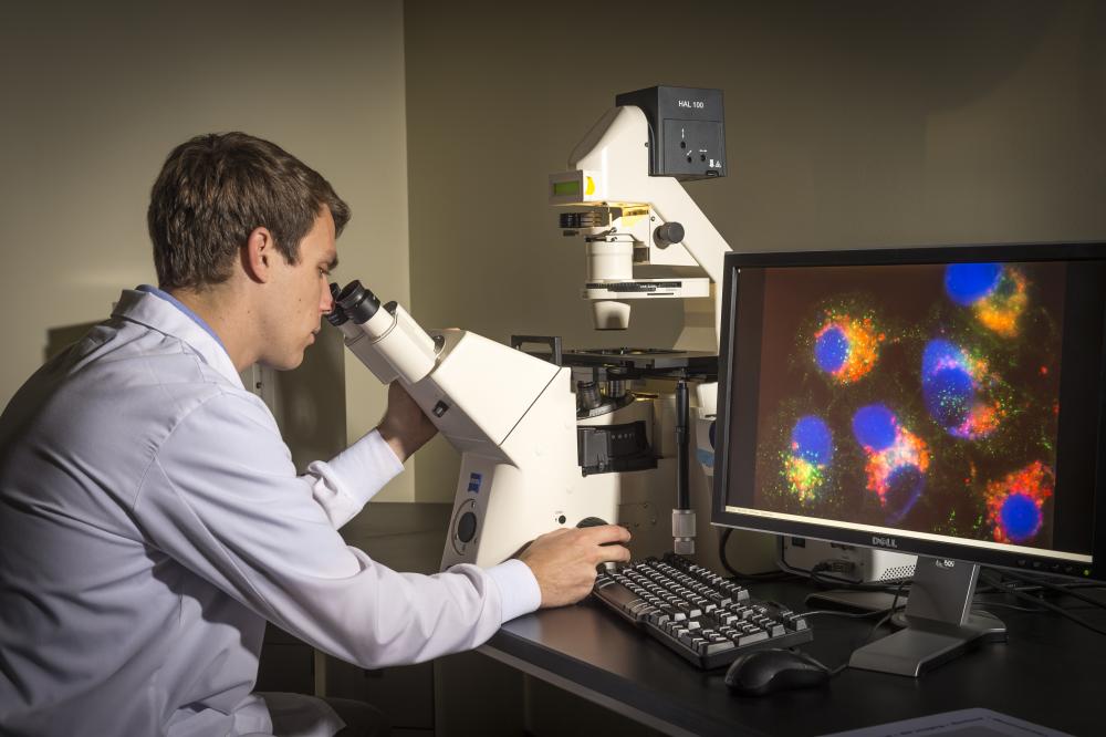 Researcher and microscope at the Philips Institute