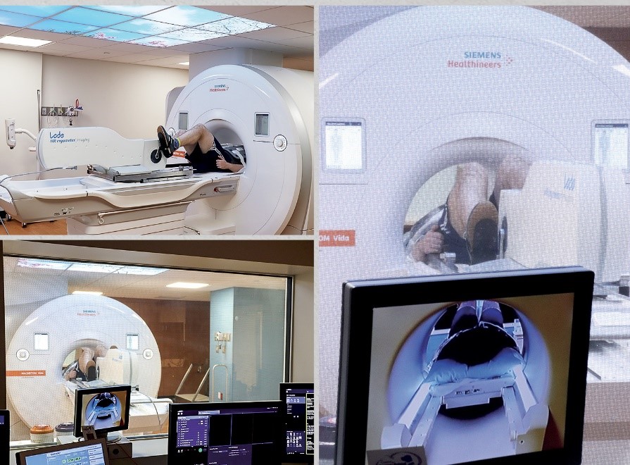 A research participant pedals a stationary bicycle inside an MRI scanner, which plays a major role in cardio-oncology research led by Greg Hundley, M.D., director of the Pauley Heart Center. Gathering images under these conditions provides investigative teams and clinicians a unique opportunity to better understand disease processes that impact abilities to carry out activities of daily living. Photos: Eric Peters