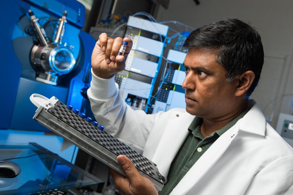 Dr. Wijesinghe examines a patient’s plasma sample extract before analyzing it with the chromatographic separation device and mass spectrometer on the MCV Campus at VCU Health. Photo: Kevin Schindler