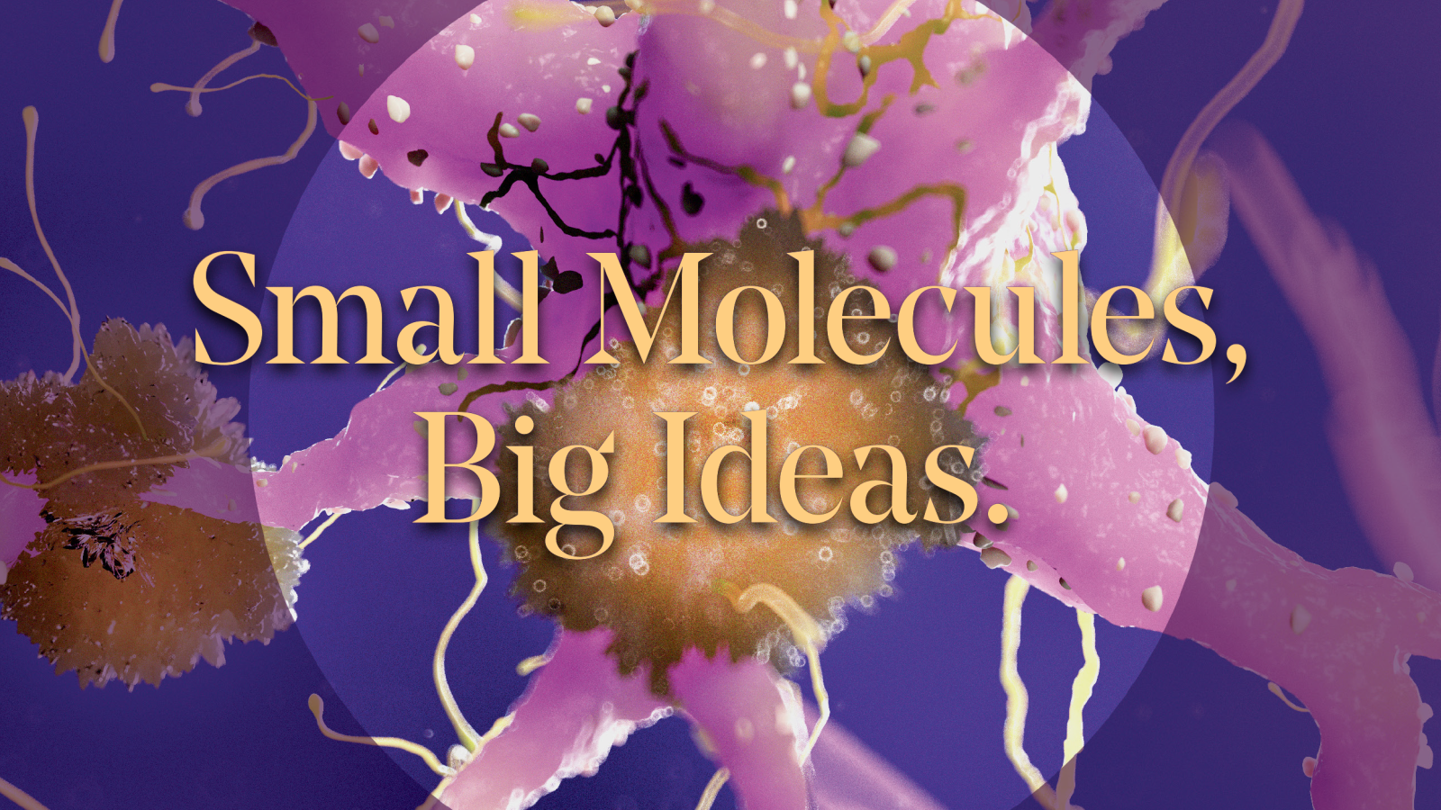 Title Art: Small Molecules, Big Ideas