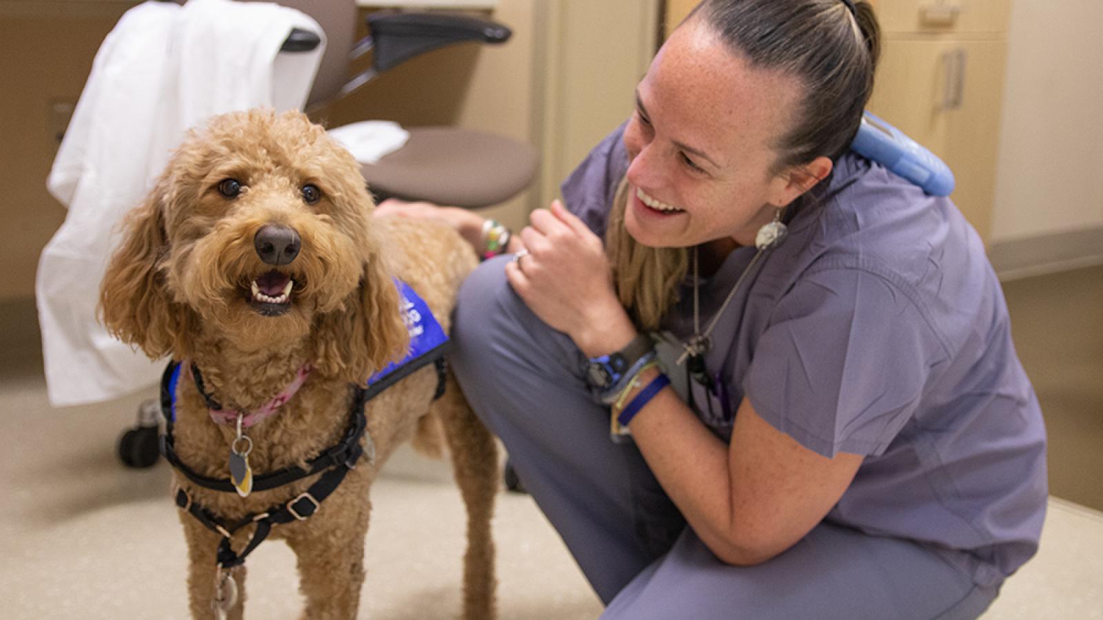 Tova, Dogs on Call therapy dog, visits a VCU Health team member.